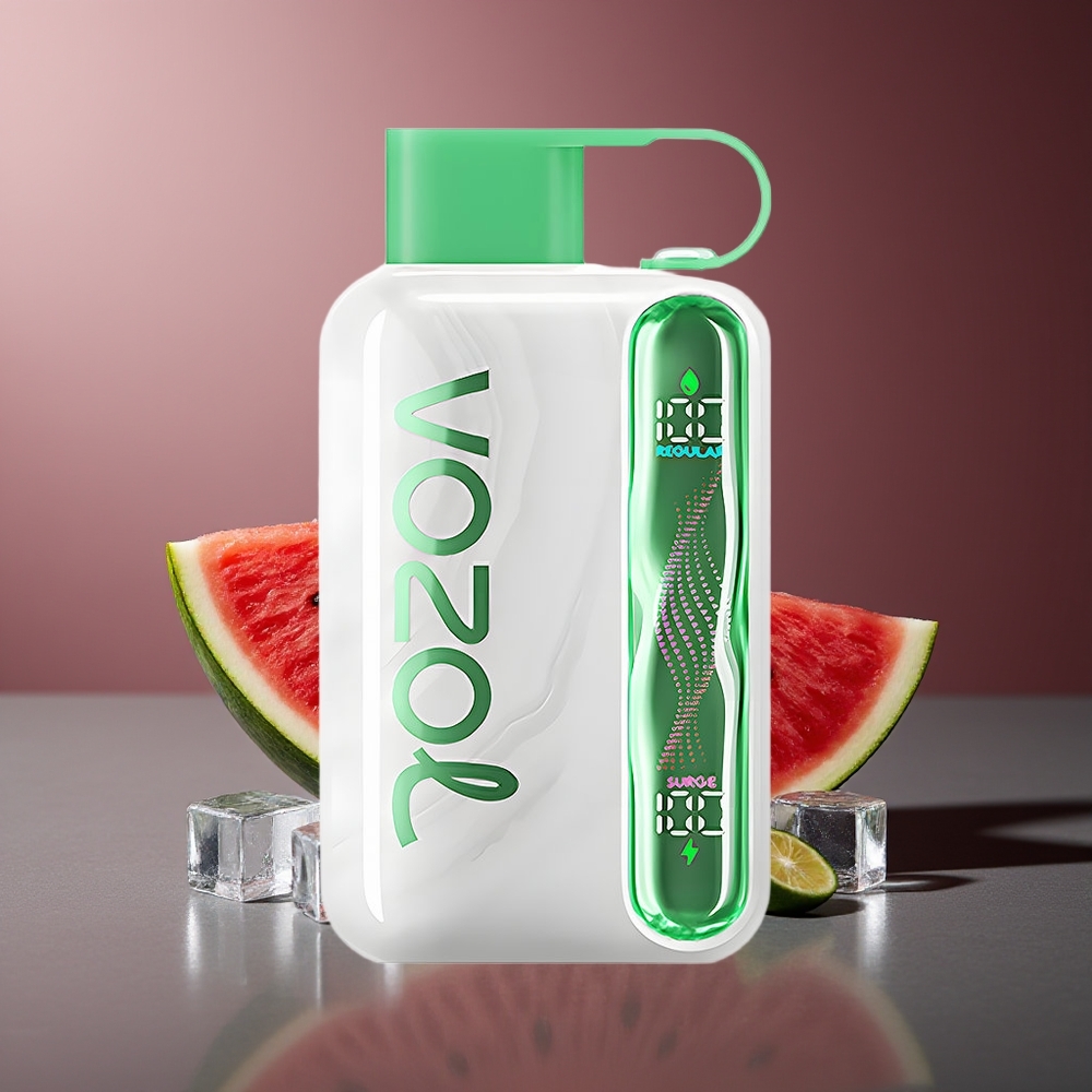 VOZOL STAR 40000 Pufuri Vape Pepene Gheata 1000mAh Type-C